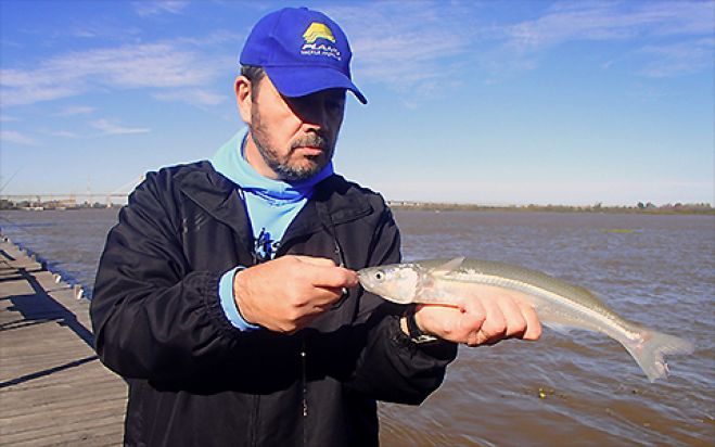 "Enrevesado Guazú". Nota en Pescadores en la red.