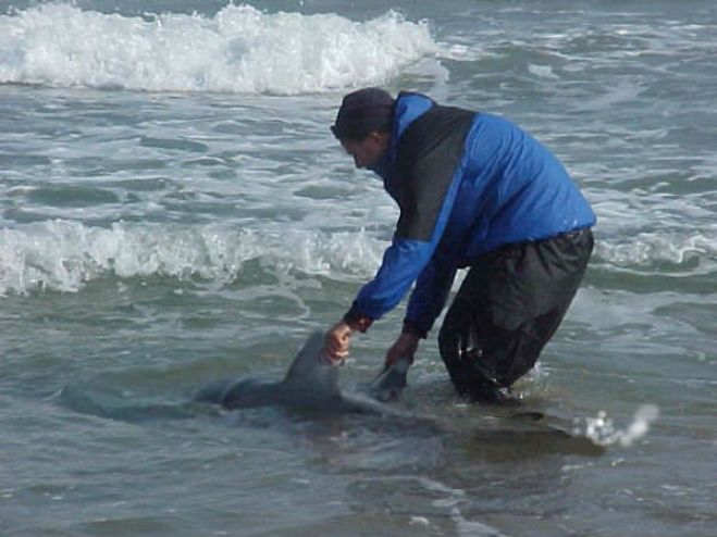 "Adiós bacota, adiós", por Alberto Enguix