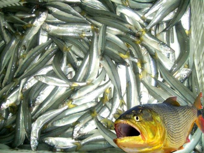 "Ayer", por Alberto Enguix