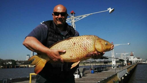 Claudio Hernán Caler